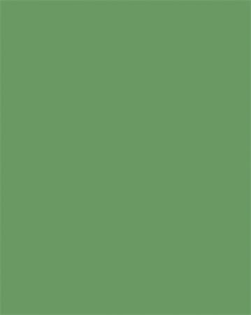 Dekoračný kartón, 2 stranný, 50x70 cm, 300 g, 10 listov, FOLIA, machovo zelený 2