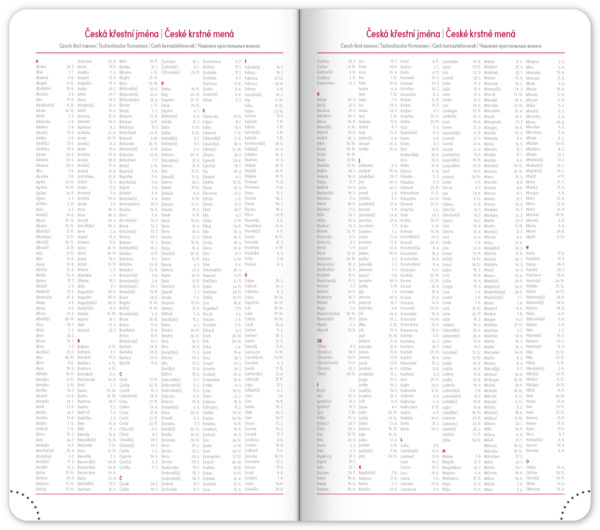 NOTIQUE Vreckový diár Ponza 2027, mentolový, 9 x 15,5 cm 5
