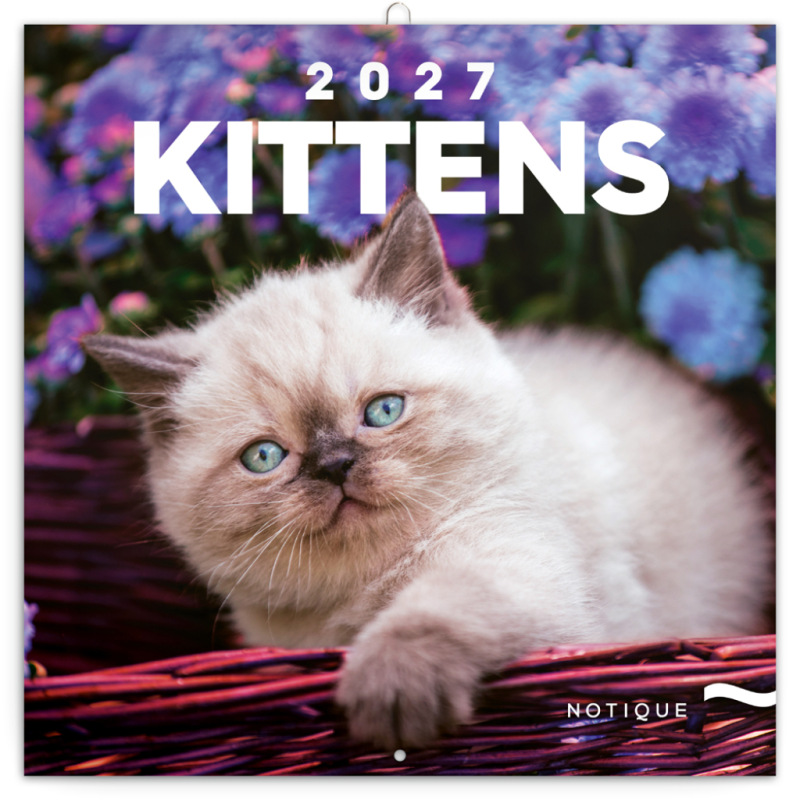 NOTIQUE Grid calendar Kittens 2027, 30 x 30 cm
