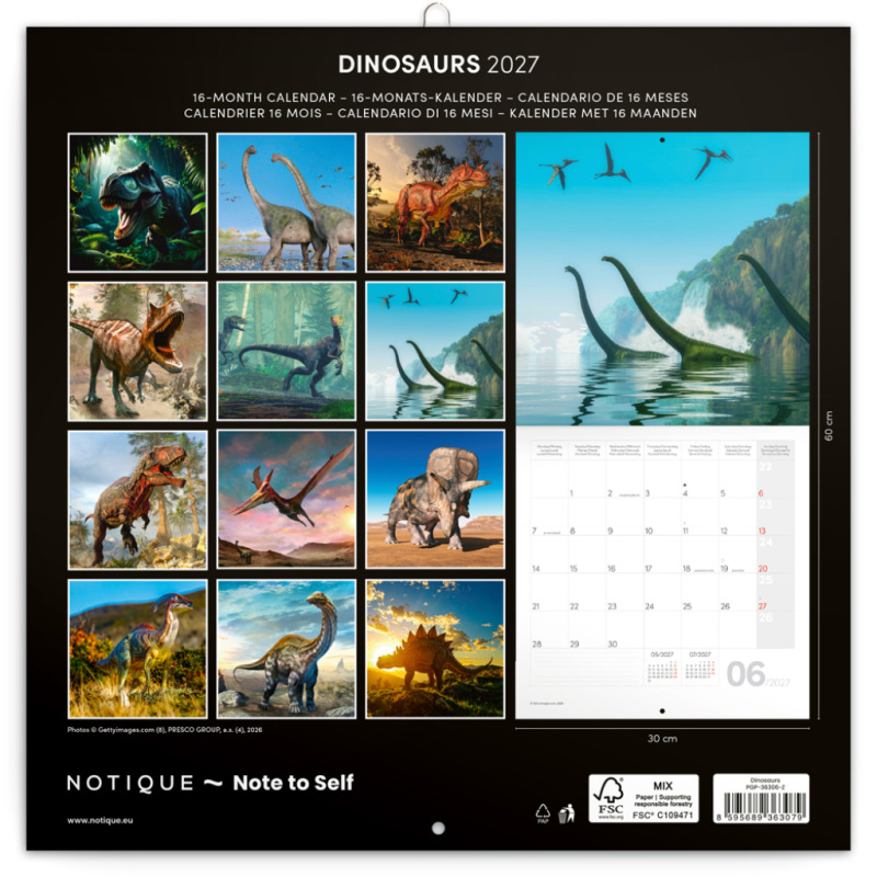 NOTIQUE Grid calendar Dinosaurs 2027, 30 x 30 cm 14