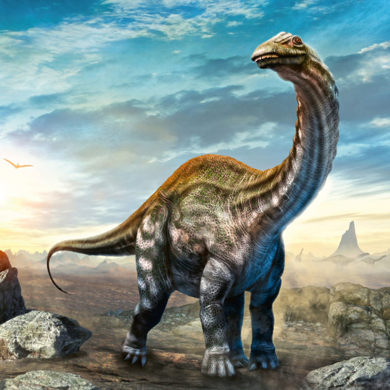 NOTIQUE Grid calendar Dinosaurs 2027, 30 x 30 cm 12