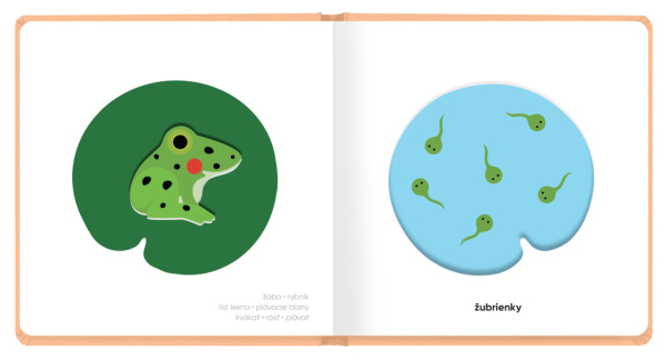 MOJE MLÁĎATKÁ – Klap klap obrázky 1