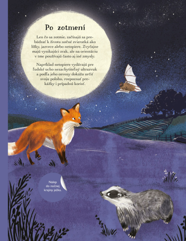 SVET JEŽKOV, UŠIAKOV a ďalších chlpáčov – Kniha samolepiek 5