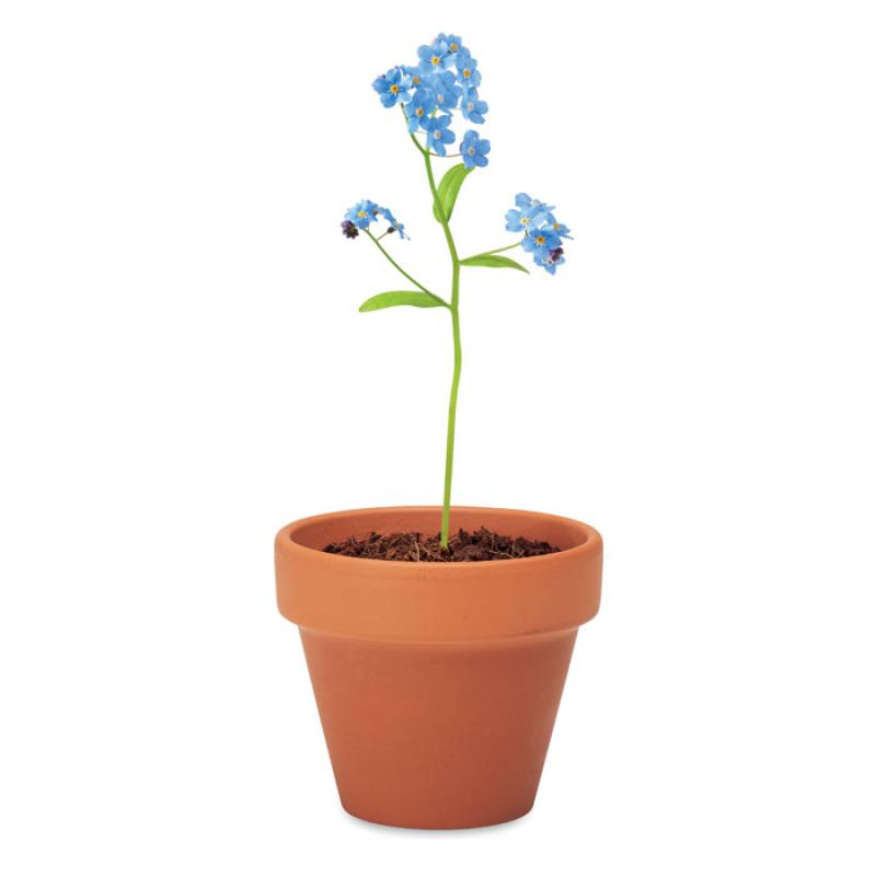 FORGET ME NOT 4