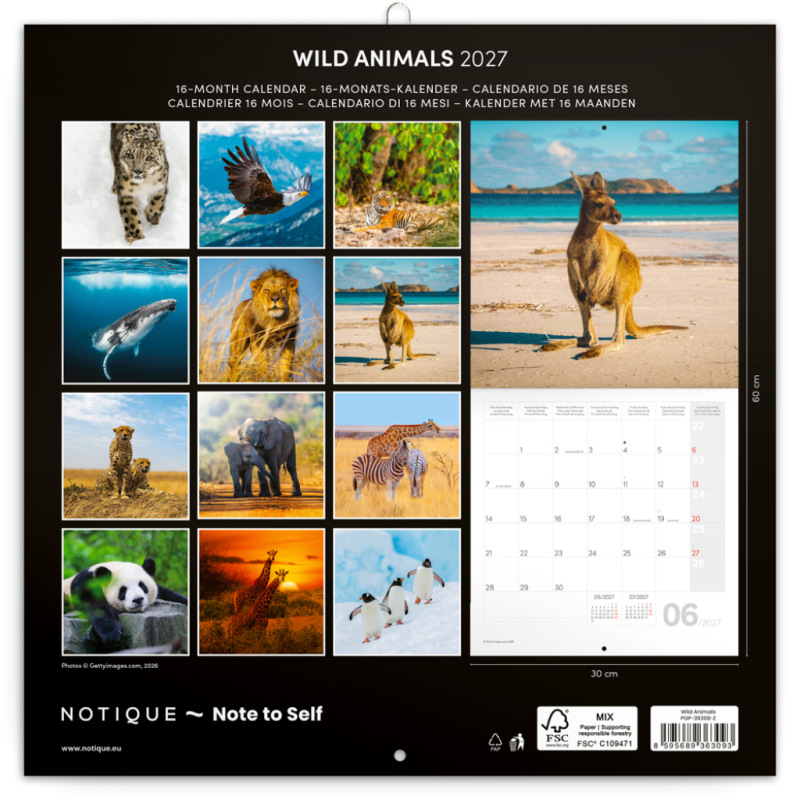 NOTIQUE Grid calendar Wild Animals 2027, 30 x 30 cm 14