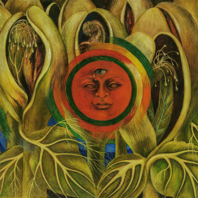 NOTIQUE Poznámkový kalendár Frida Kahlo 2026, 30 x 30 cm 3