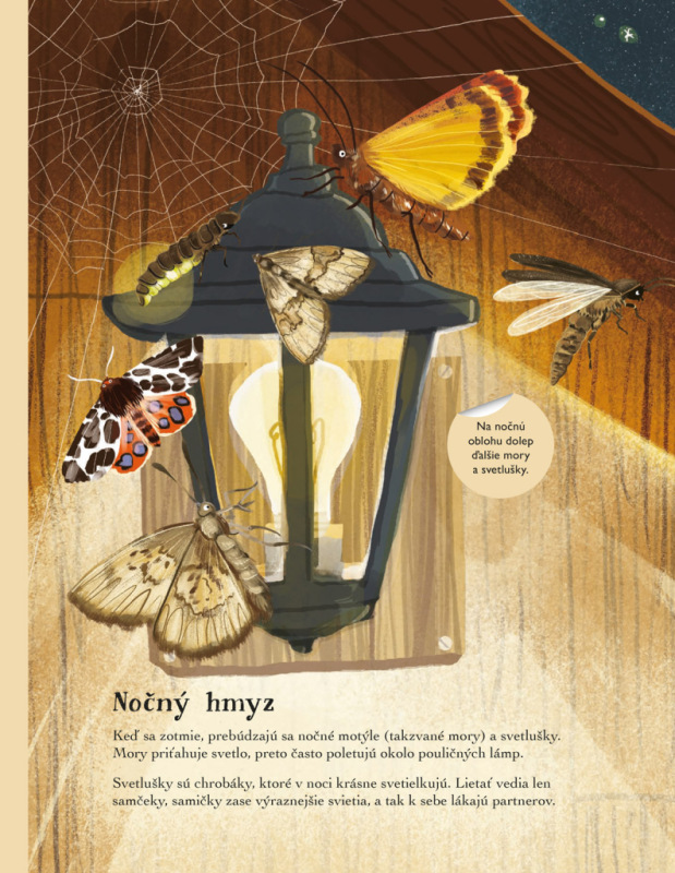 SVET CHROBÁKOV, MOTÝĽOV a iných potvoriek – Kniha samolepiek 7