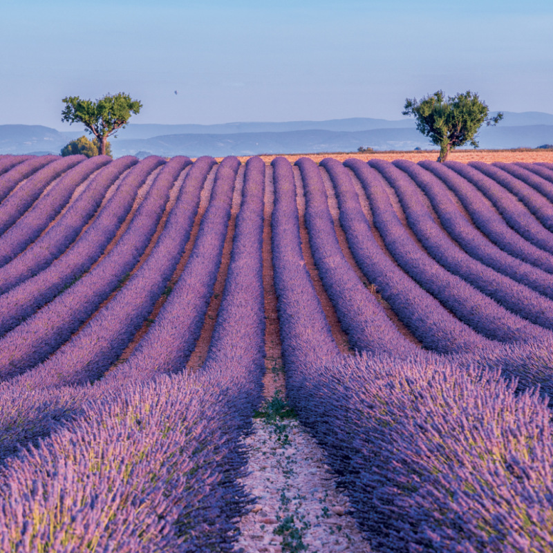 NOTIQUE Grid calendar Provence 2027, 30 x 30 cm 8