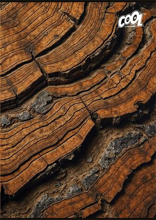 Zošit, A4, štvorčkový, 80 listov, COOL BY VICTORIA "Wood & Rock" 1