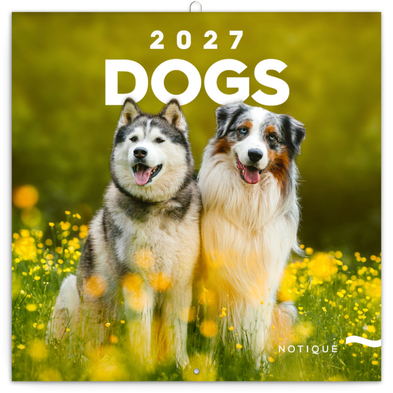 NOTIQUE Grid calendar Dogs 2027, 30 x 30 cm