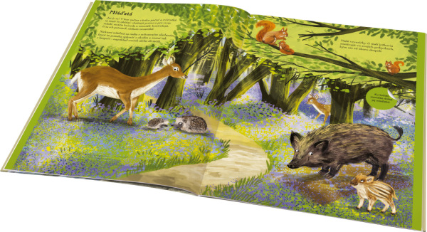 SVET JEŽKOV, UŠIAKOV a ďalších chlpáčov – Kniha samolepiek 2