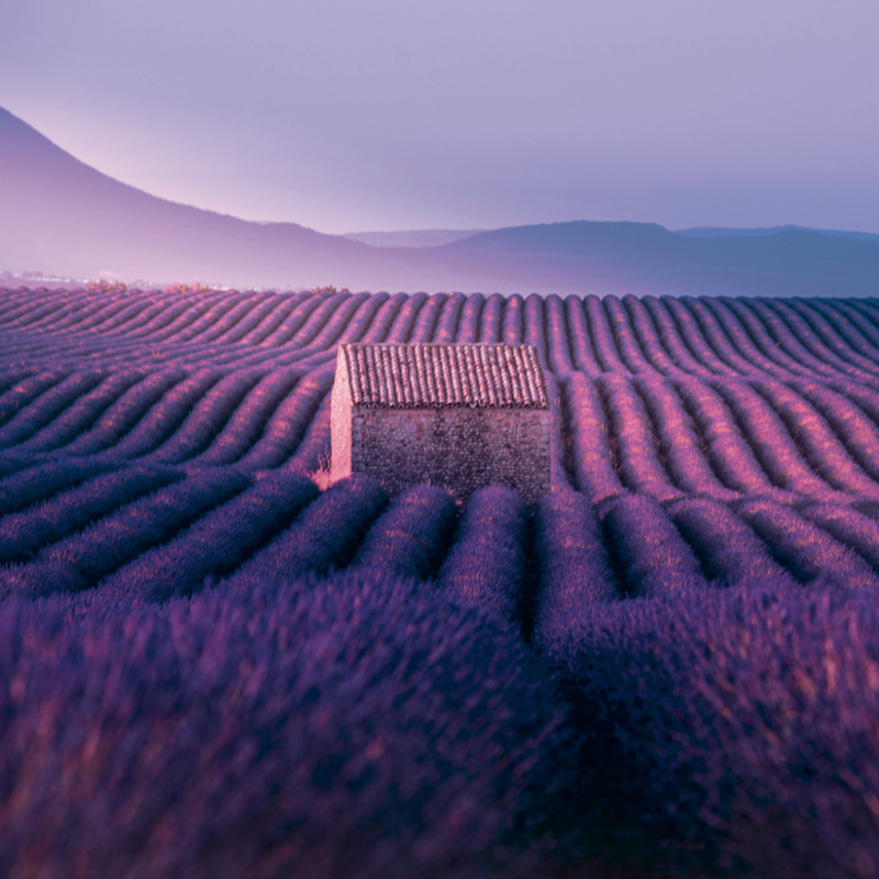 NOTIQUE Grid calendar Provence 2027, 30 x 30 cm 2