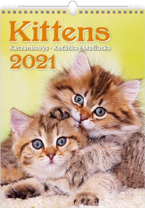 Kittens/Katzenbabys/Kočičky/Mačičky