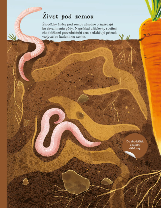 SVET CHROBÁKOV, MOTÝĽOV a iných potvoriek – Kniha samolepiek 5