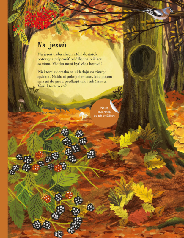 SVET JEŽKOV, UŠIAKOV a ďalších chlpáčov – Kniha samolepiek 7