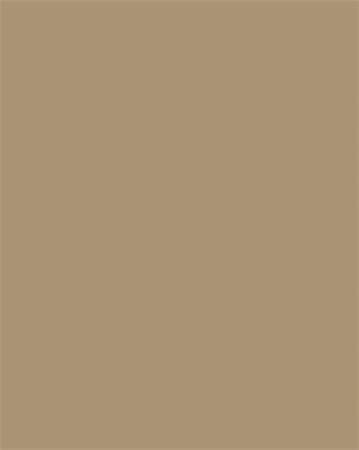 Farebný papier, A4, 130 g, 100 listov, FOLIA, prírodný hnedý 2