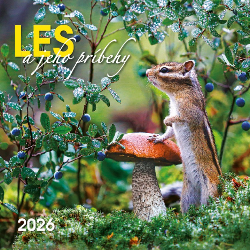 Nástenný kalendár Les a jeho príbehy 2026 1