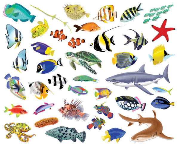 Čítaj a nalepuj – POD HLADINOU, kniha se samolepkami 2